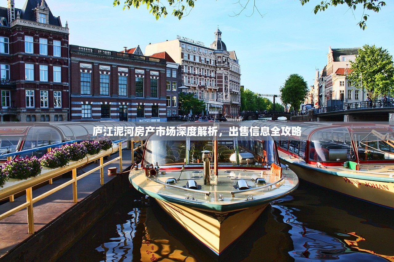 庐江泥河房产市场深度解析，出售信息全攻略