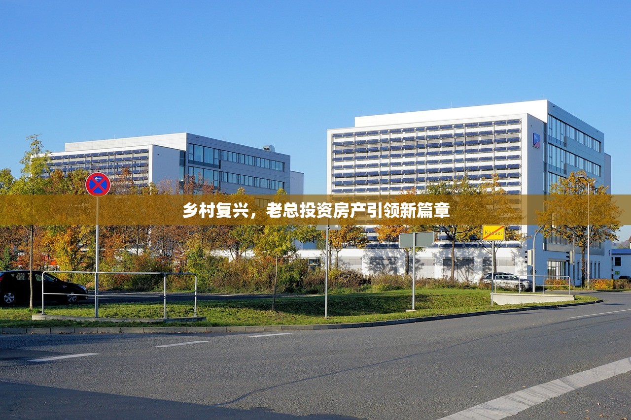 乡村复兴，老总投资房产引领新篇章