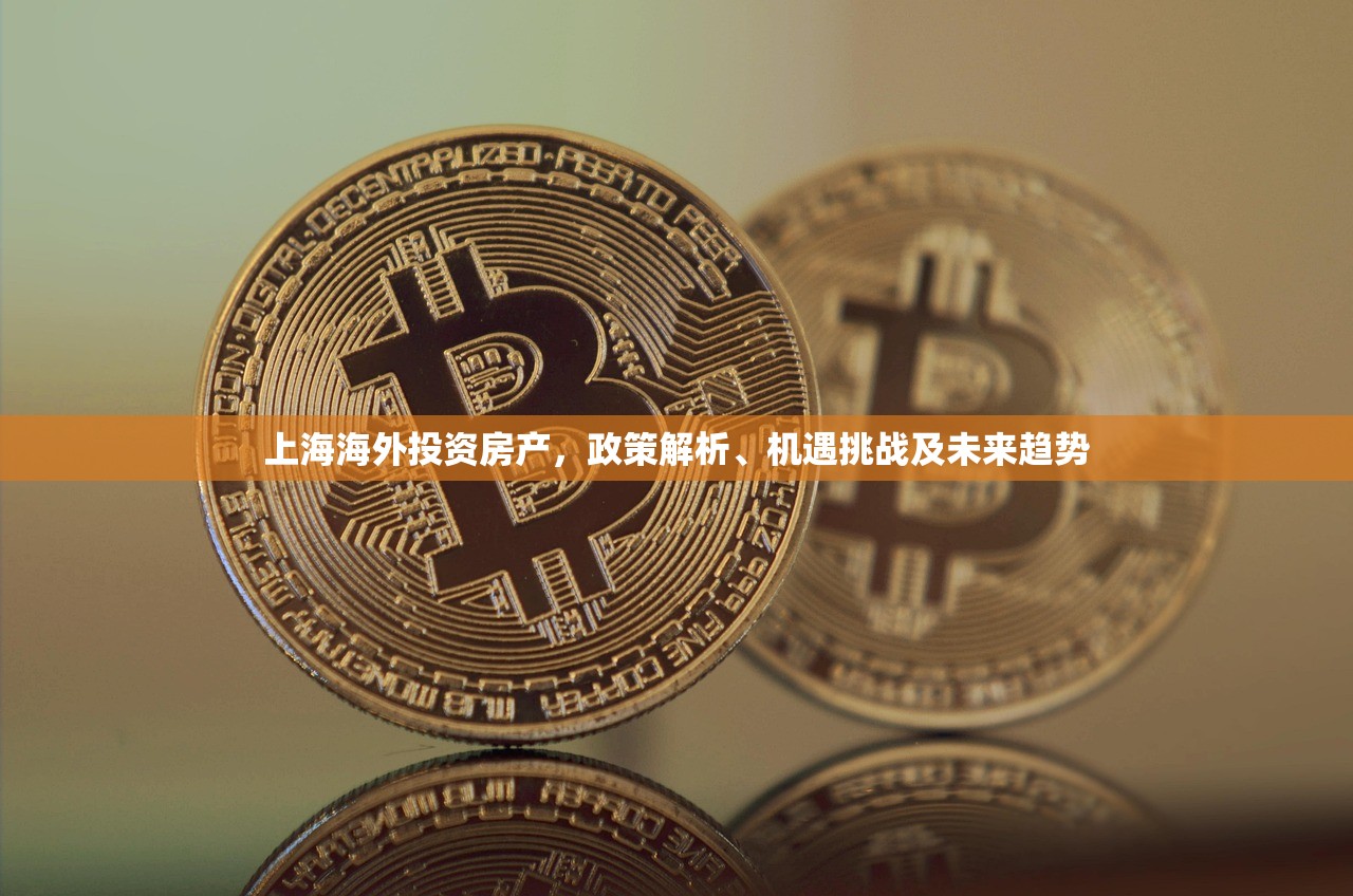 上海海外投资房产，政策解析、机遇挑战及未来趋势