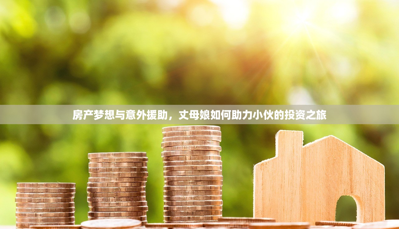 房产梦想与意外援助，丈母娘如何助力小伙的投资之旅