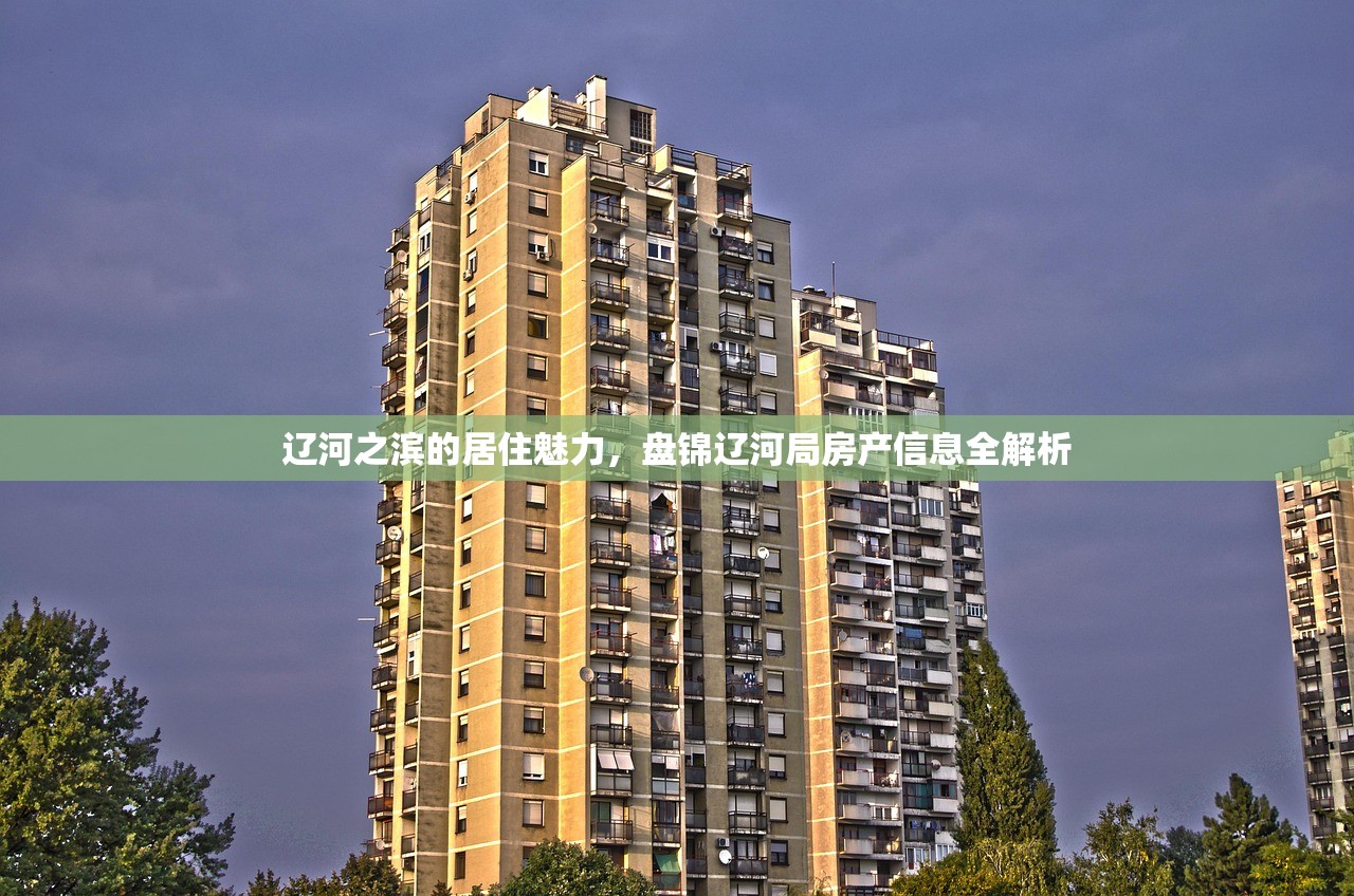 辽河之滨的居住魅力，盘锦辽河局房产信息全解析