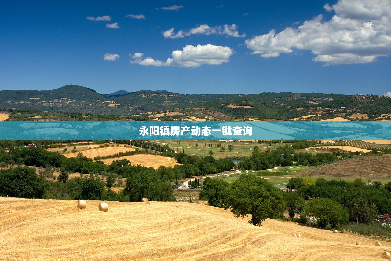 永阳镇房产动态一键查询